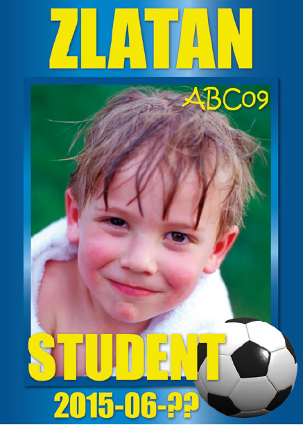 web-zlatan